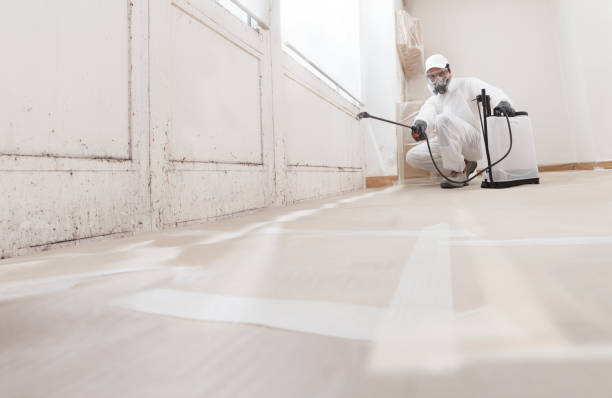 24/7 Emergency Attic Mold Remediation experts in Jamestown, CO
